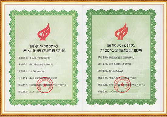 Сертификат демонстрационного проекта индустриализации